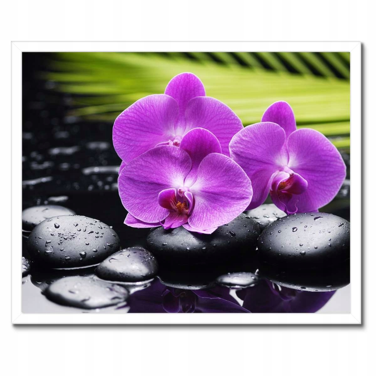 Plakáty v rámu 50x40 Orchidej na kamenech