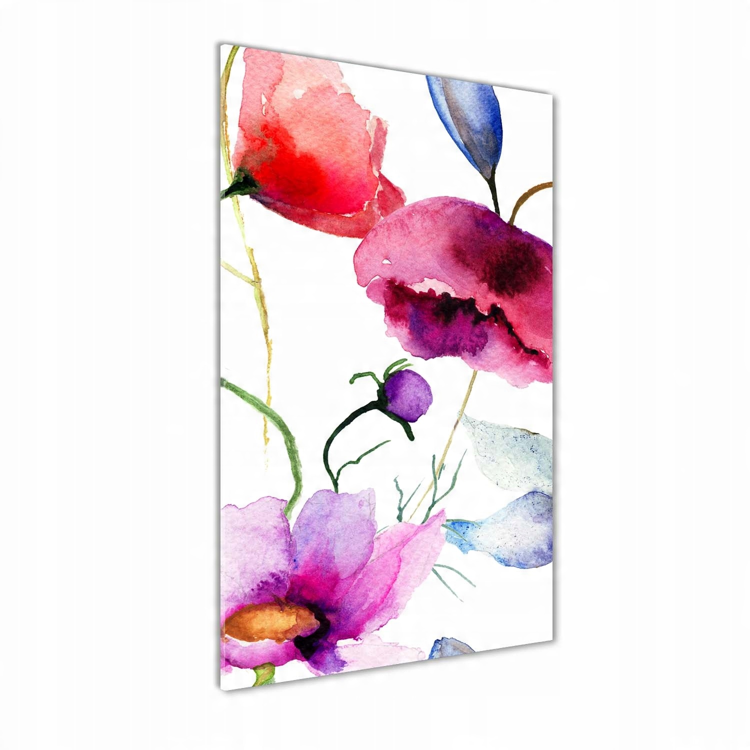 

Nowoczesny foto obraz na ścianę Maki 50x100 cm