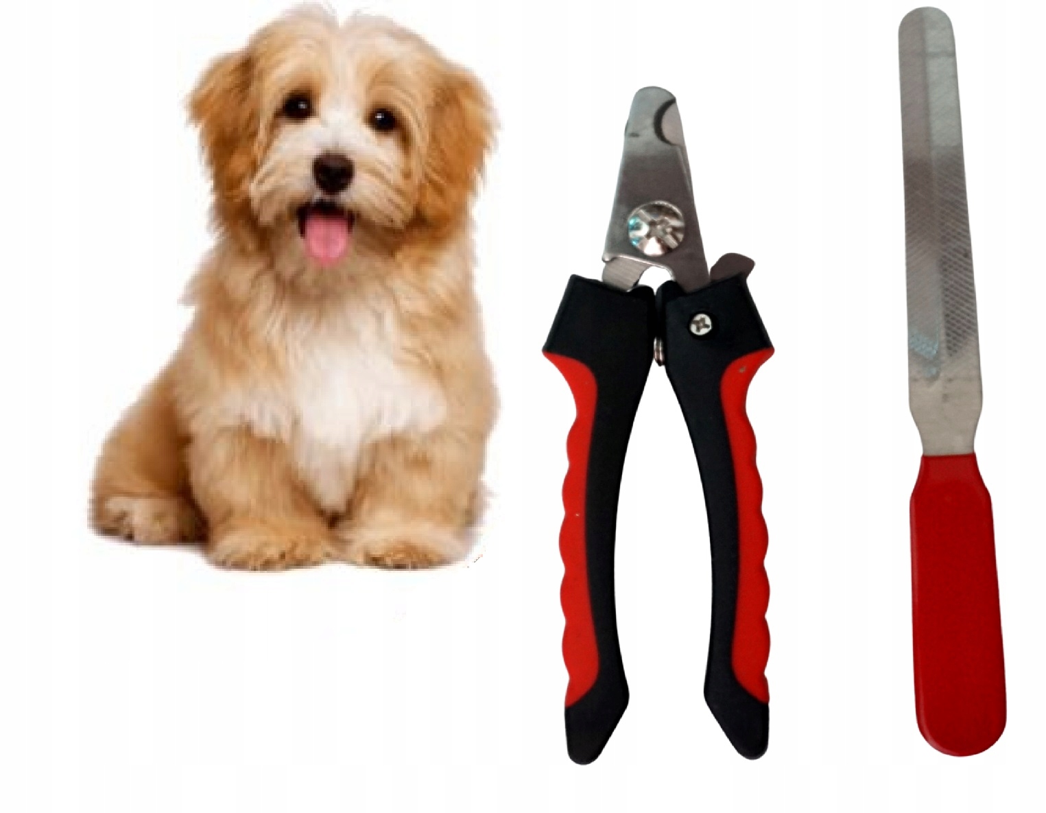 

Obcinaczki Do Pazurów Cążki Nożyczki Dla Psa Kota