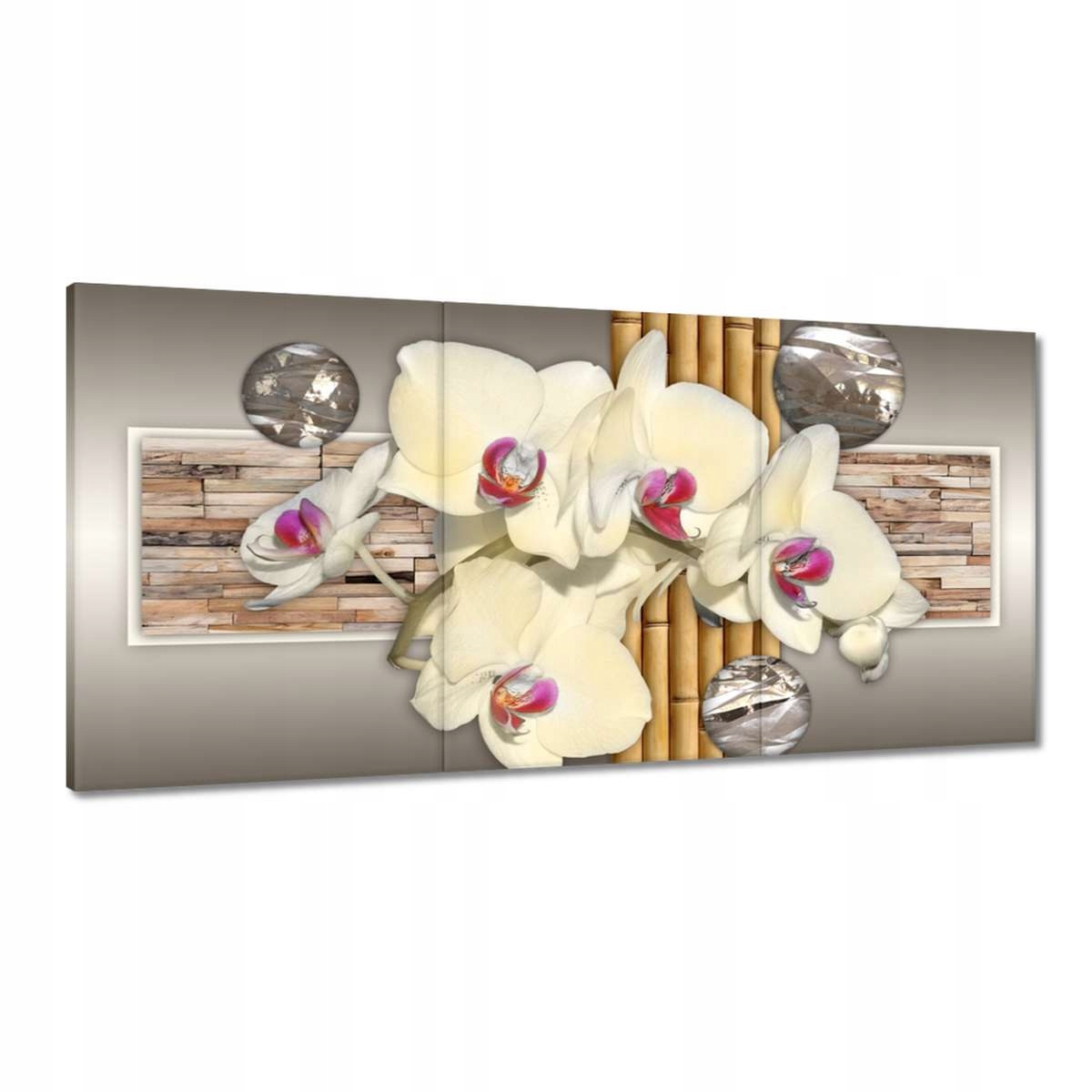 Obrazy 120x60 Orchidej s bambusem