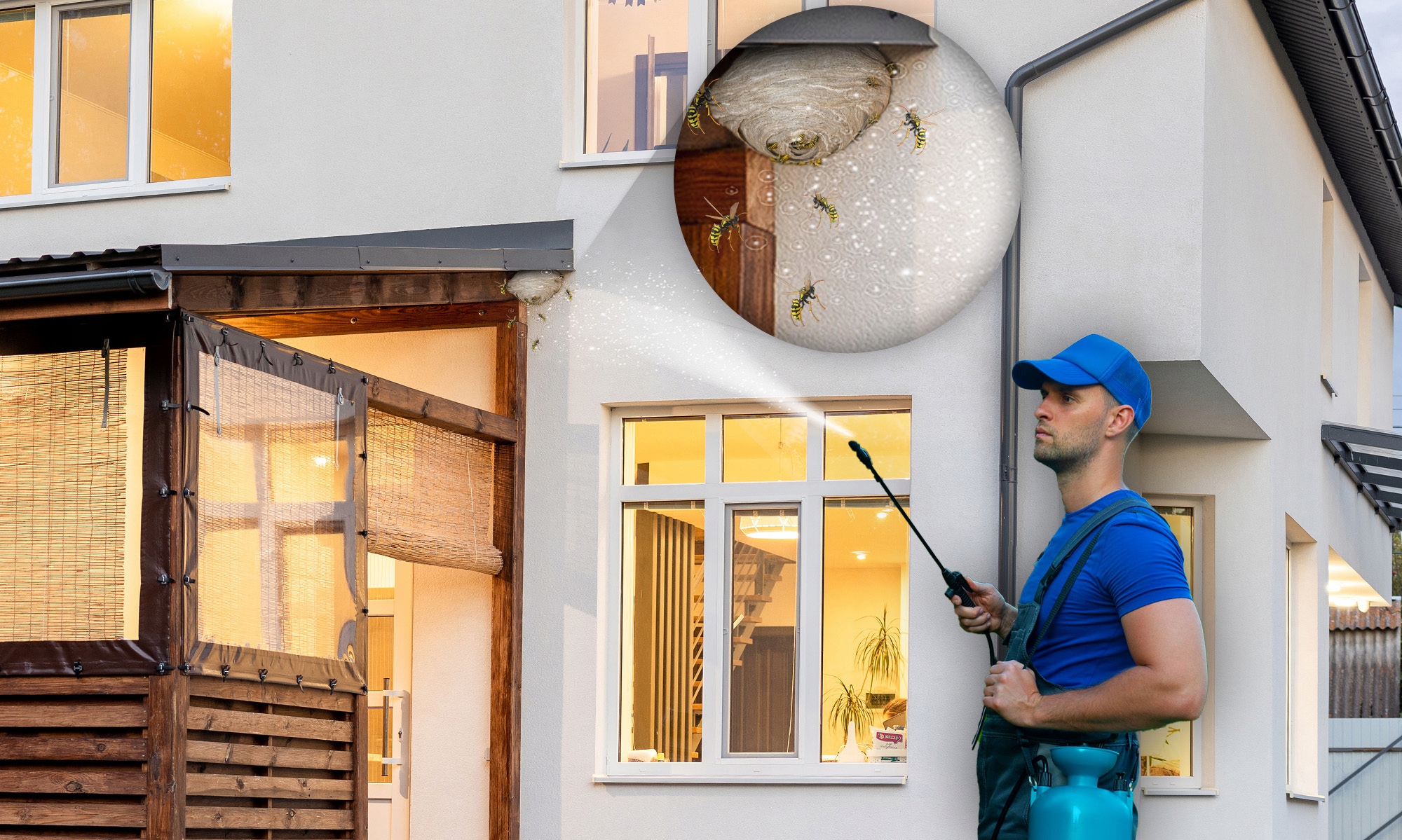 ŚPRODEK PREPARAT PŁYN OPRYSK NA OSY SZERSZENIE GNIAZDA OS NO PEST 50ML Zastosowanie przeciwko osom