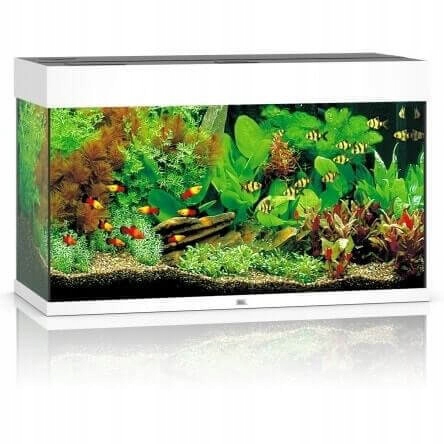 Juwel Rio 125 Led Akwarium Zestaw Biały