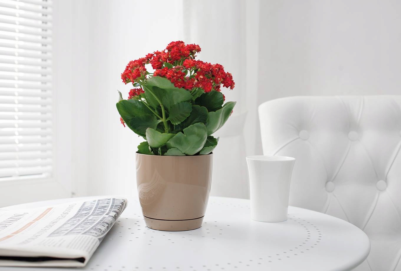 DONICZKA Z PODSTAWKĄ TOSCANA śr. 13CM BIAŁY POŁYSK Form-plastic Kod producenta 0741-011