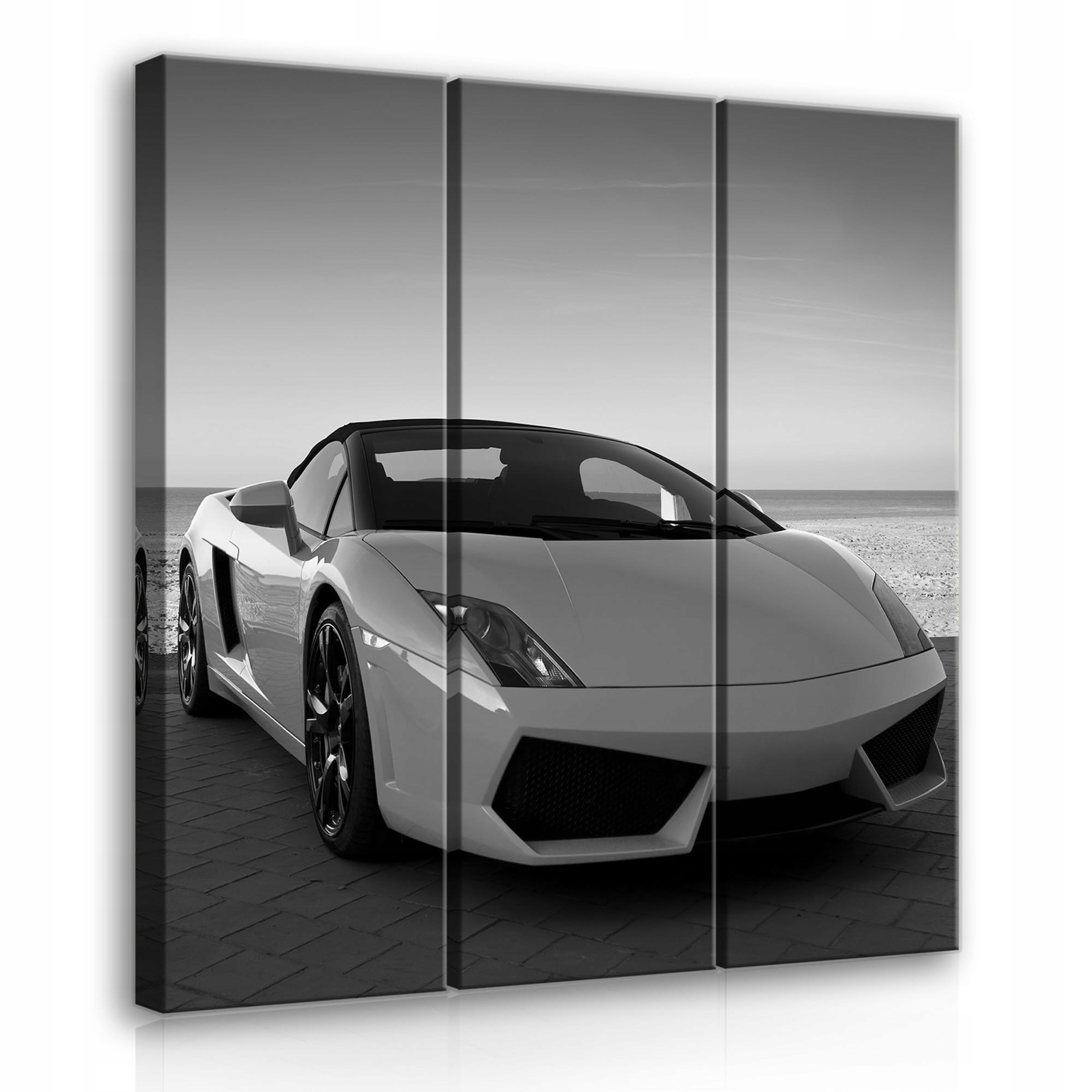 Obraz 90x100 Supercar Lamborghini Gallardo černobílé sportovní foto