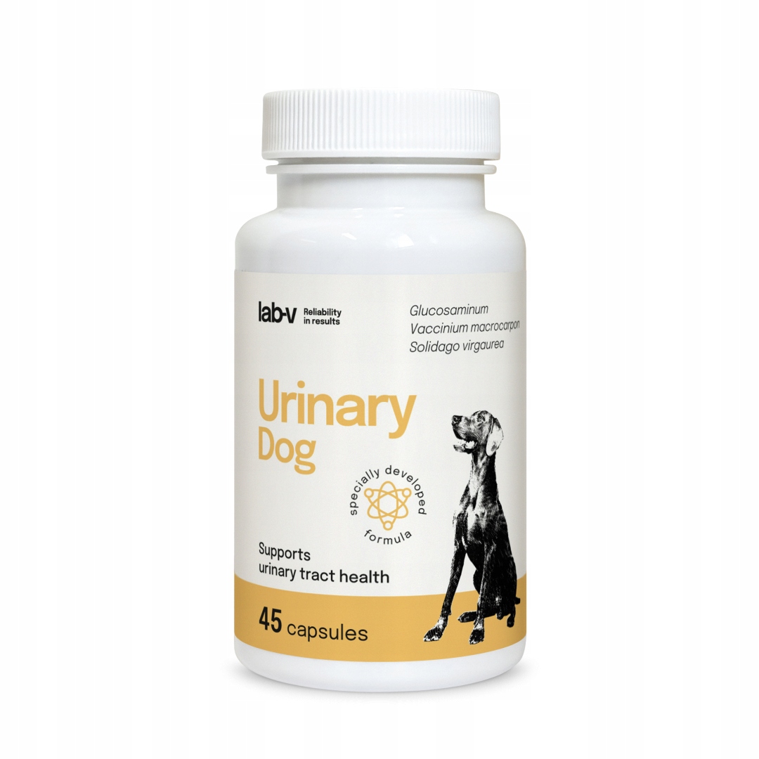 Lab-v Urinary Dog Podpora při infekci močových cest u psů 45 kapslí