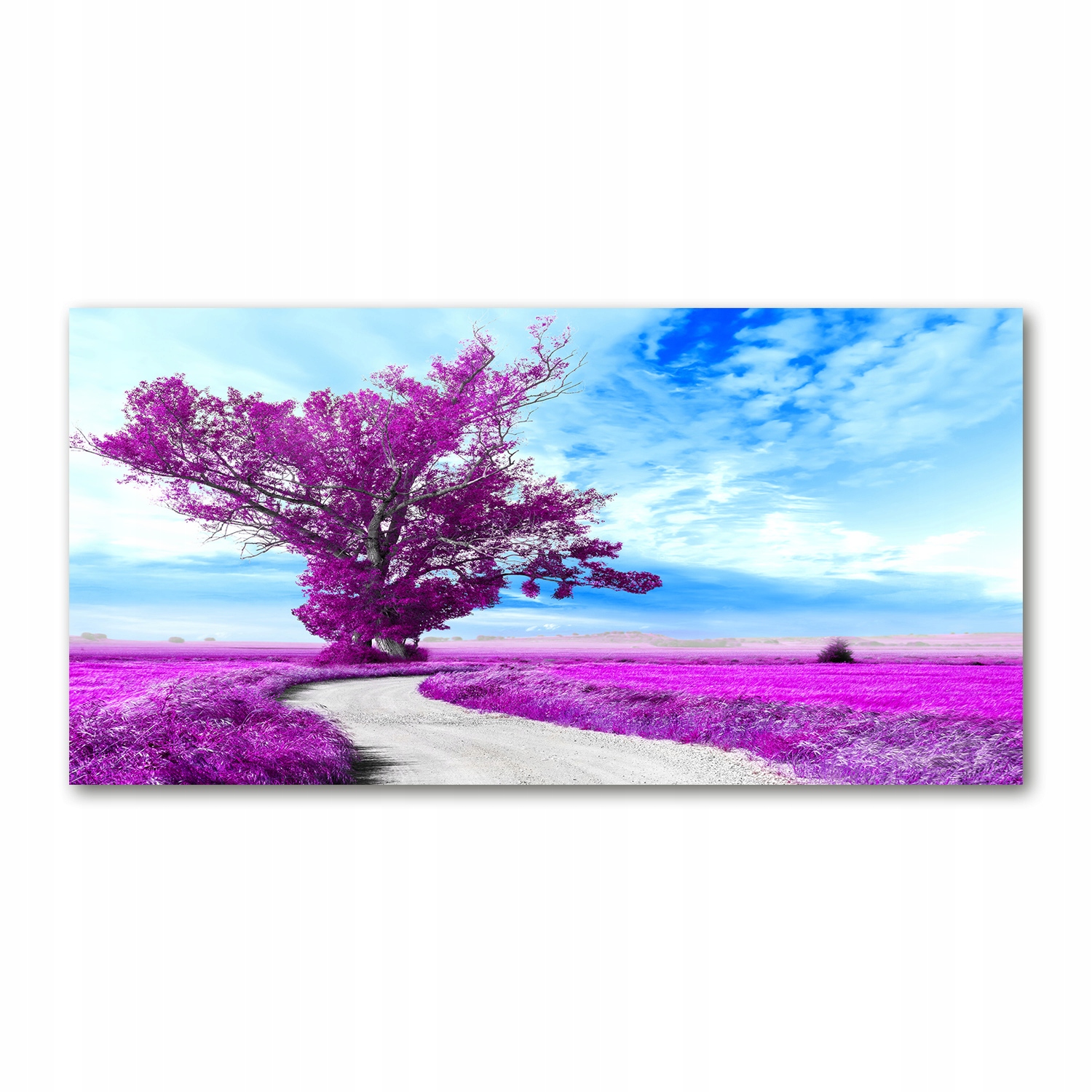 

Foto obraz szkło akryl Drzewo i ścieżka 120X60 cm