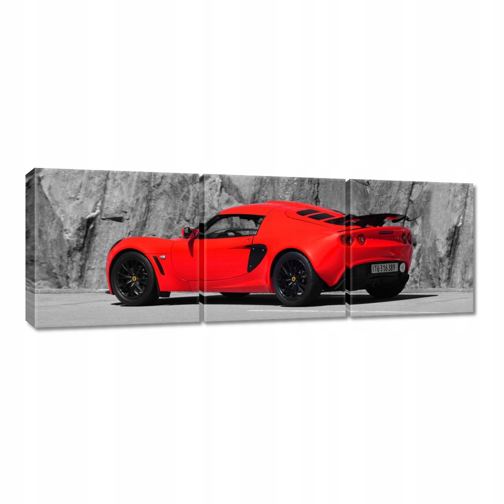 

Obrazy 60x20 Czerwony Lotus