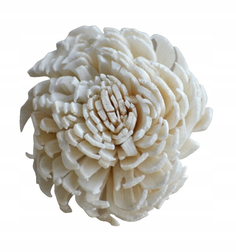 KWIAT SHOLA BALI suszki tort komunia ślub