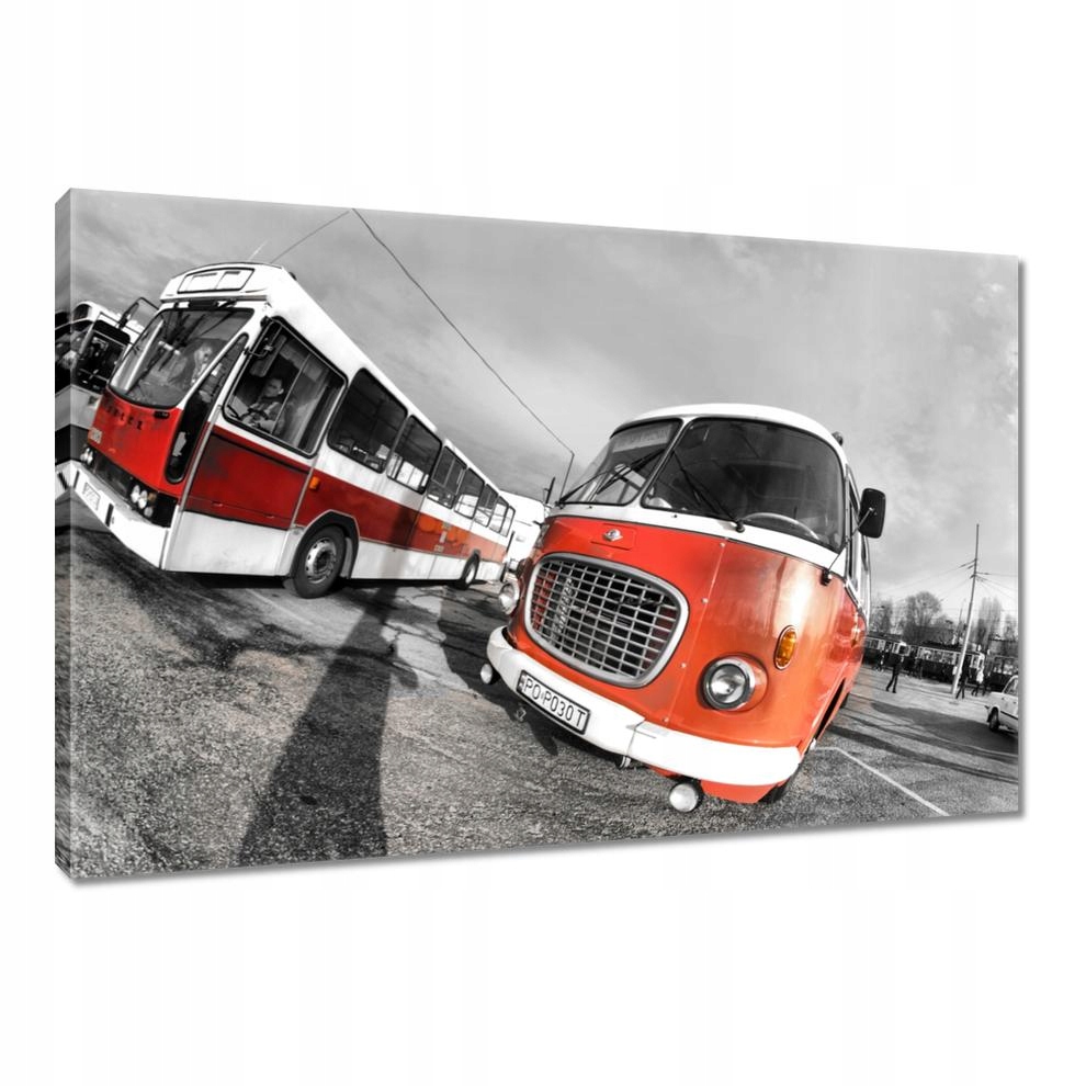 

Obrazy 90x60 Czerwone Jelcze