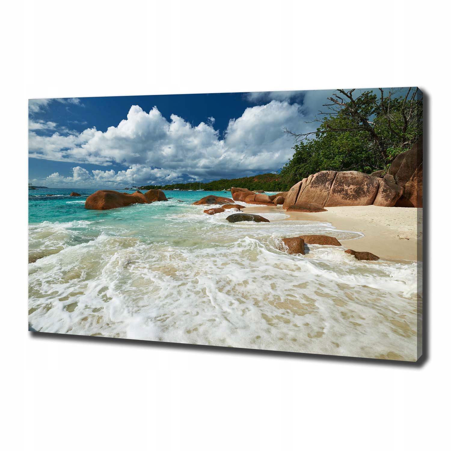 

Foto obraz na płótnie Plaża Seszele 100x70 cm