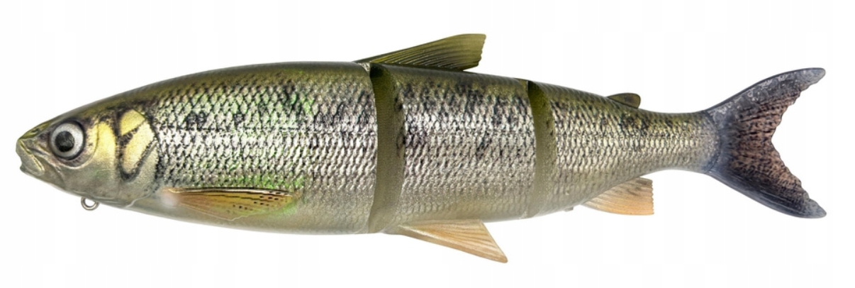 Guma Savage Gear 3D Line Thru WhiteFish 36 cm 478 g, barva Ayu