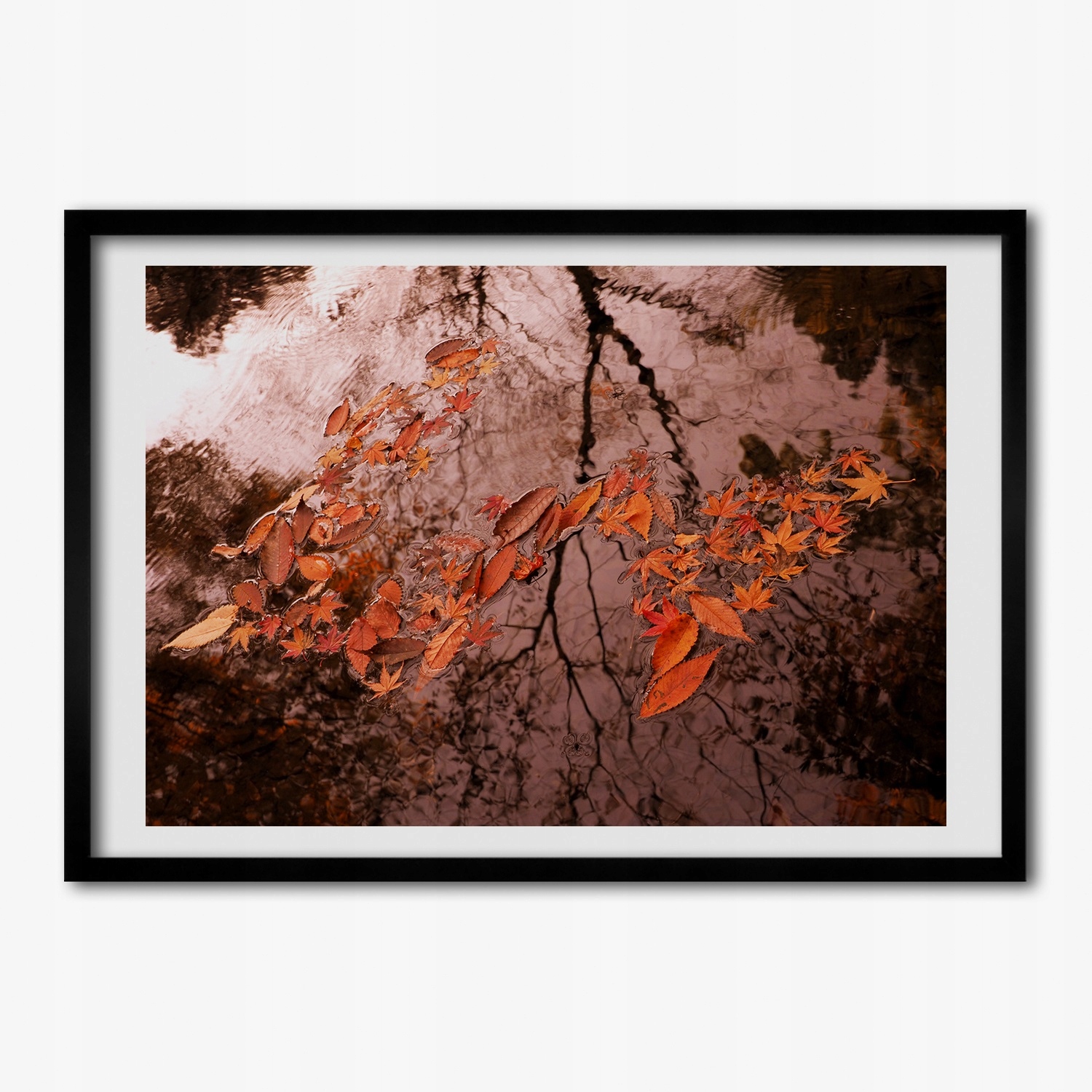 Fotoobraz s rámečkem Mdf Listy na vodě 100 x 70 cm