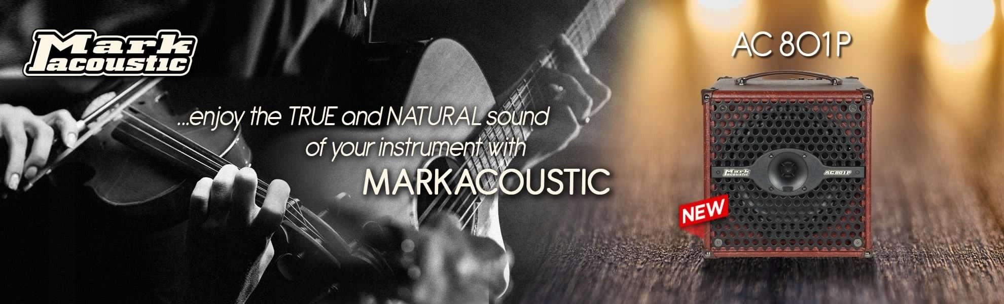 MarkAcoustic AC 801 P wzmacniacz akustyczny combo Rodzaj combo