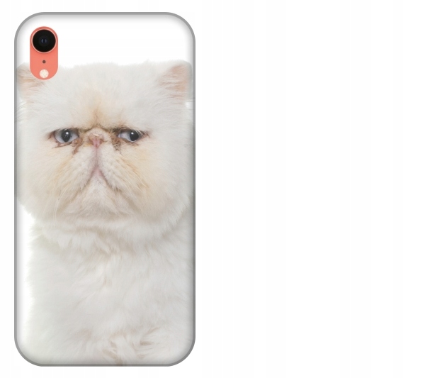 

Etui pokrowiec iPhone Xr Kot pers kotek