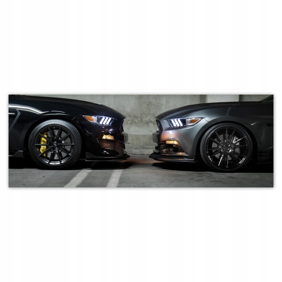 

Fototapety flizelina 624x219 Ford Mustang