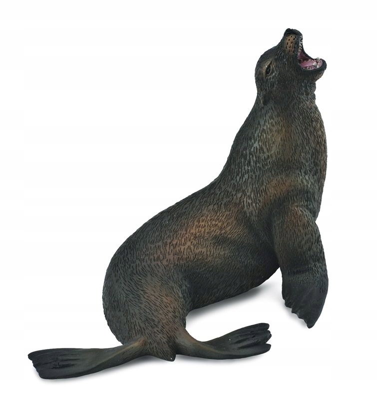 

CollectA 88454 - Lew morski, uchatka kalifornijska