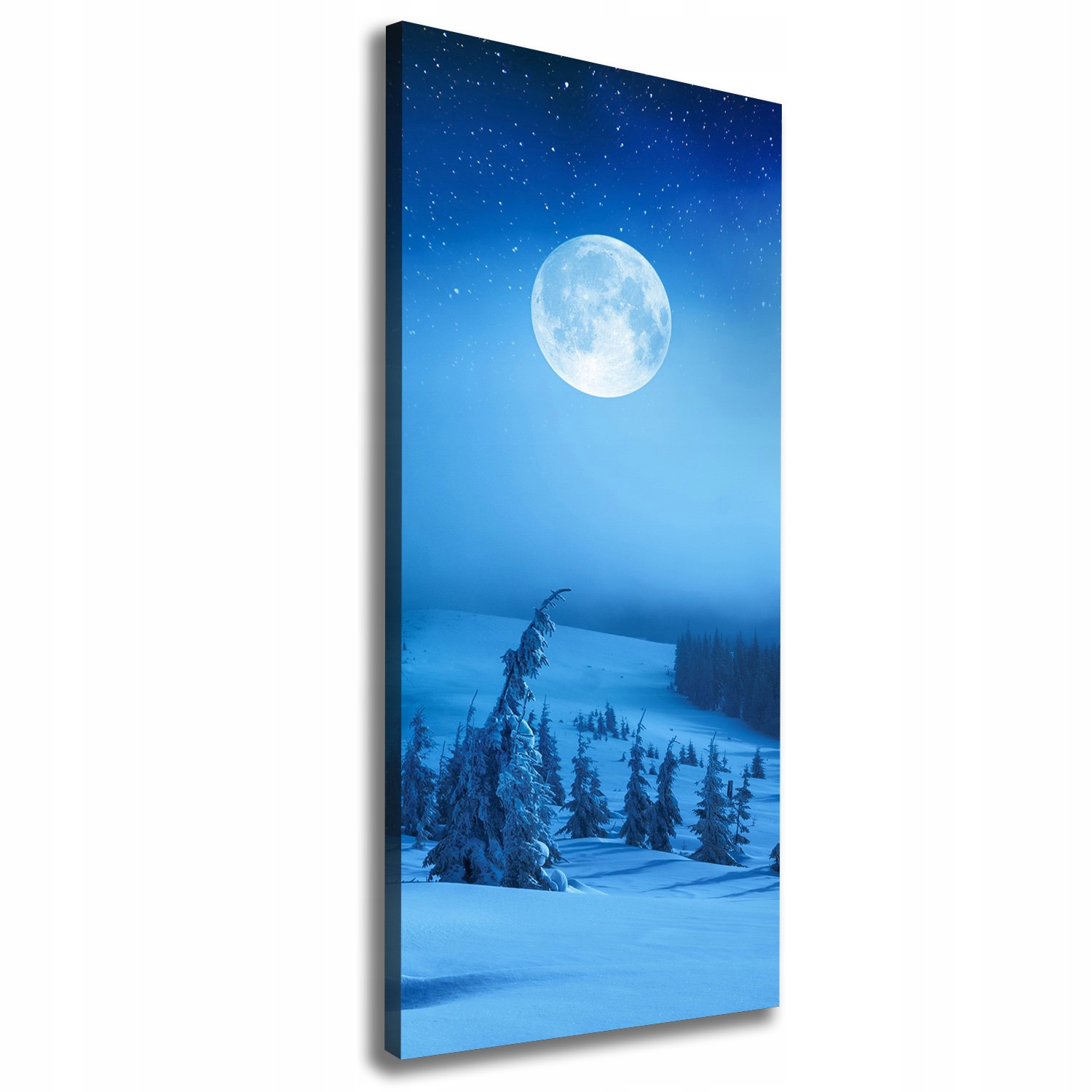 

Foto obraz na płótnie Pełnia księżyca 50x125 cm