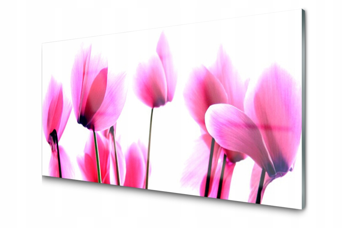 

Panel szklany dekor Kwiaty Roślina 120x60 + Klej
