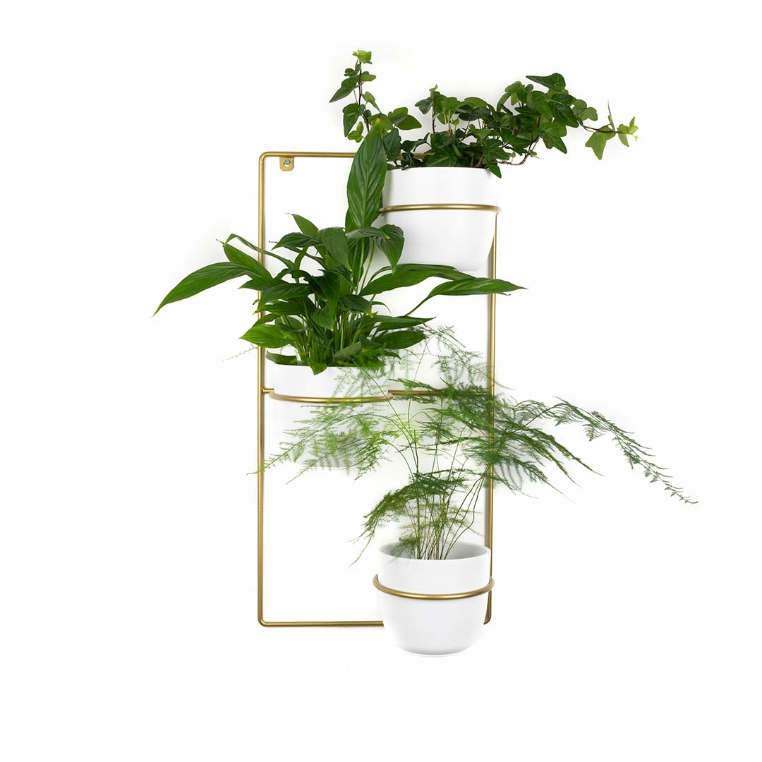 Držiak Na Kvetináč Zebrina nástenný závesný kovový, moderný, na tri rastliny, zlatý