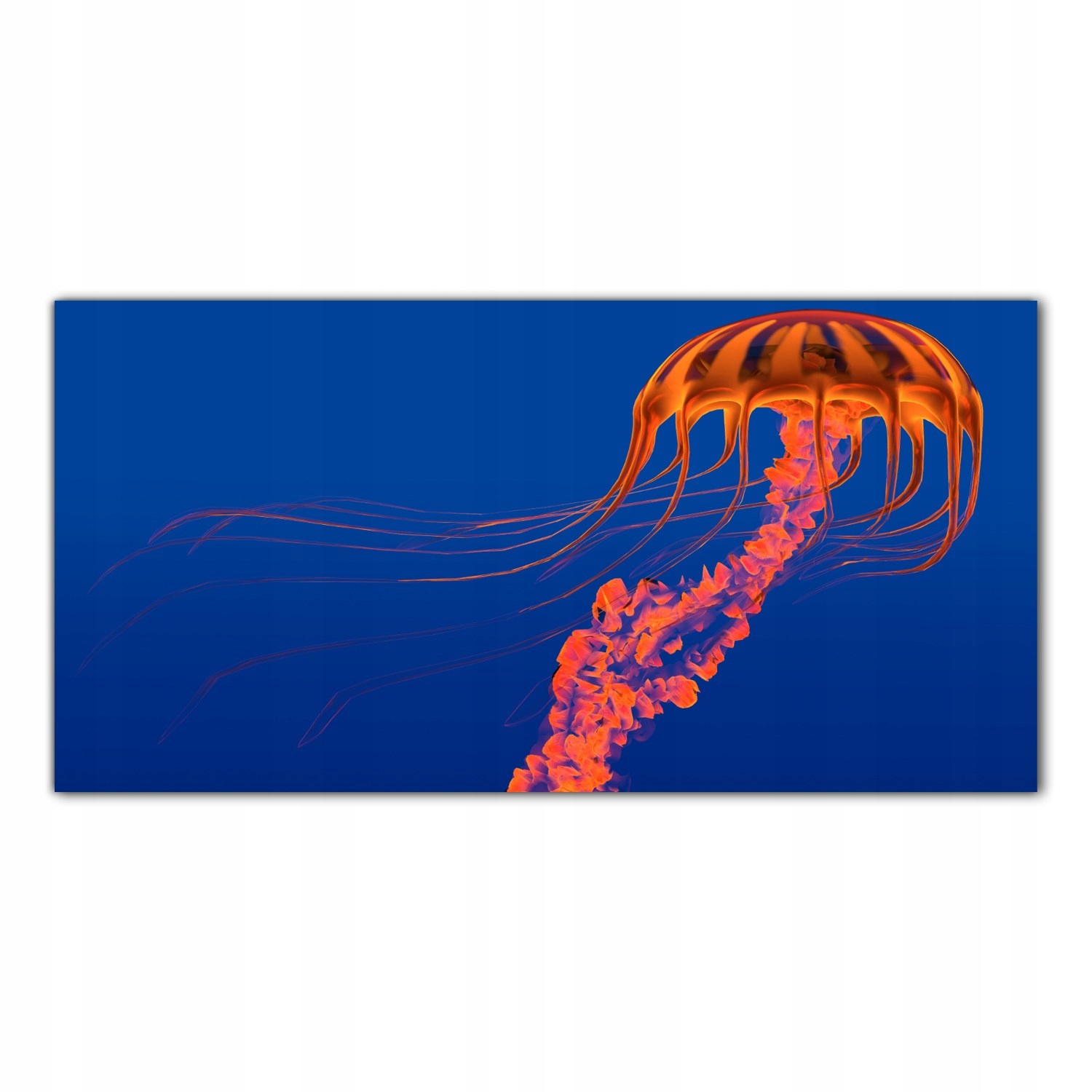 

Hartowany Obraz Szklany Meduza Morze Woda 100x50