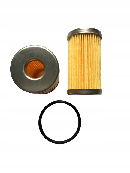 

Filtr Fazy Ciekłej Lpg Lovato RG31+ORING