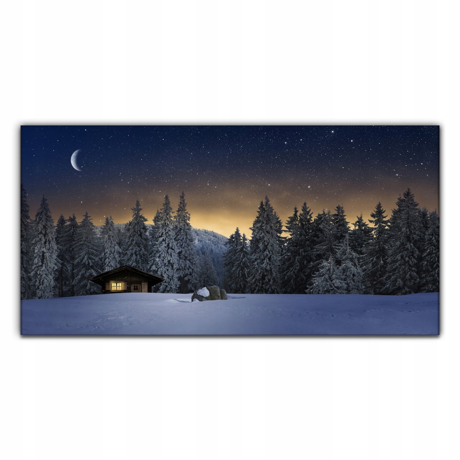

Foto-obraz na płótnie Śnieżna noc księżyc 100x50