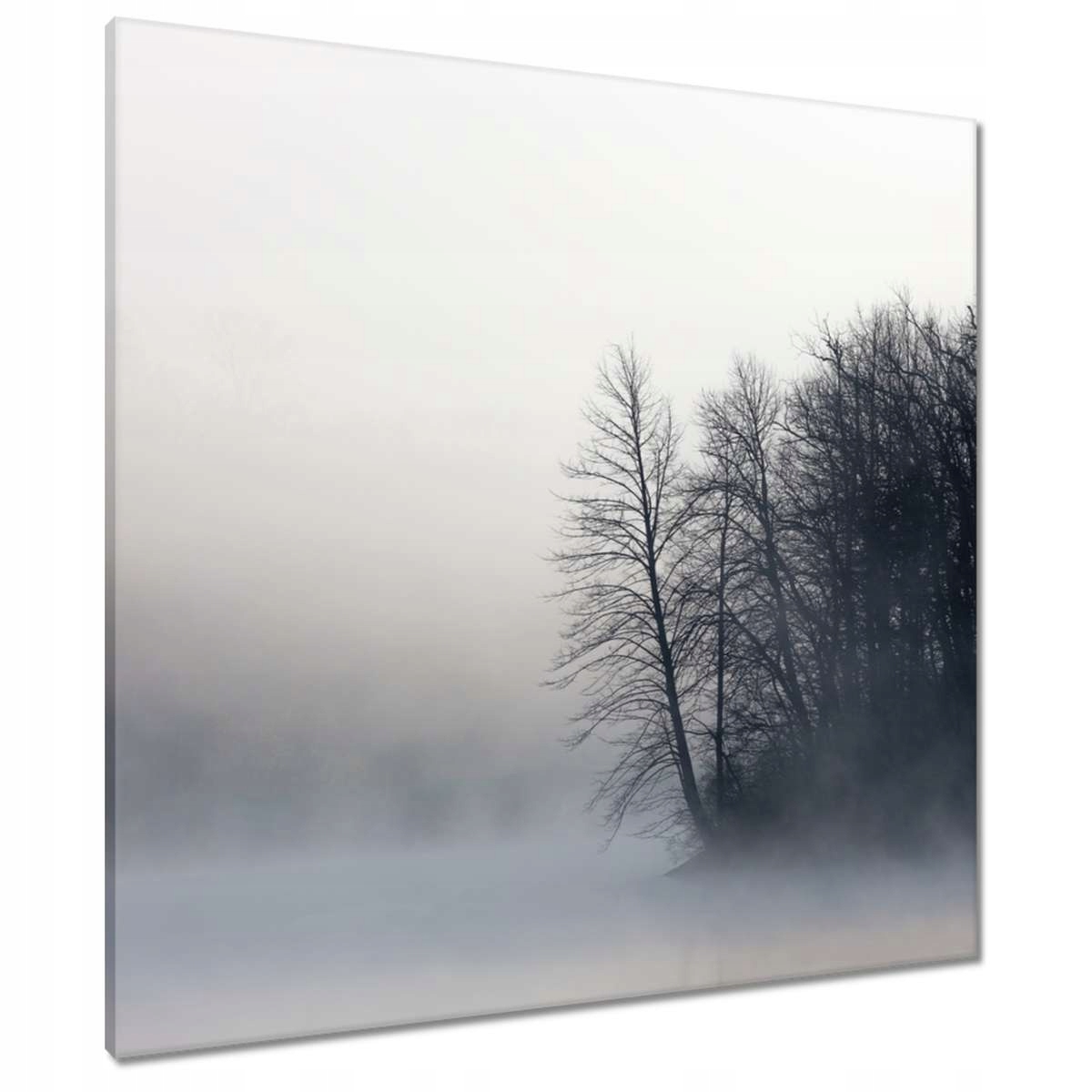 Obrazy 80x80 Mlžný les Zima