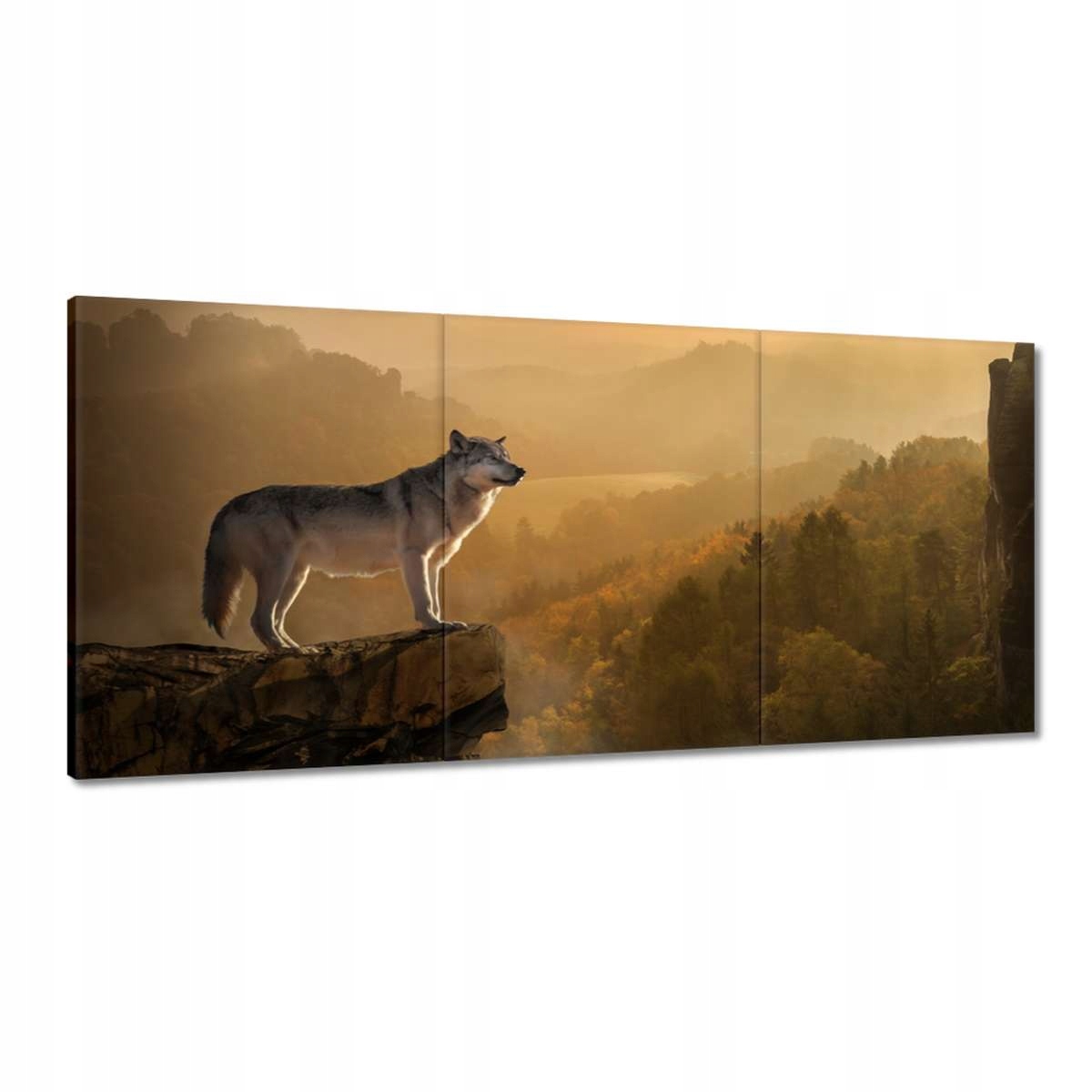 Obrazy 210x100 Šedý vlk na svahu
