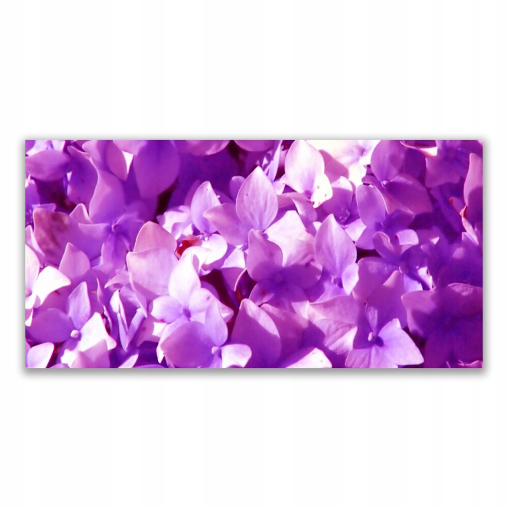 

Fotoobraz na ścianę 120x60 Kwiaty Roślina Natura