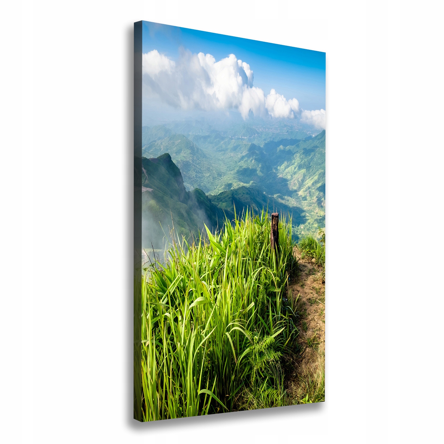 Fotoobraz canvas do obývacího pokoje Horská stezka 50x100