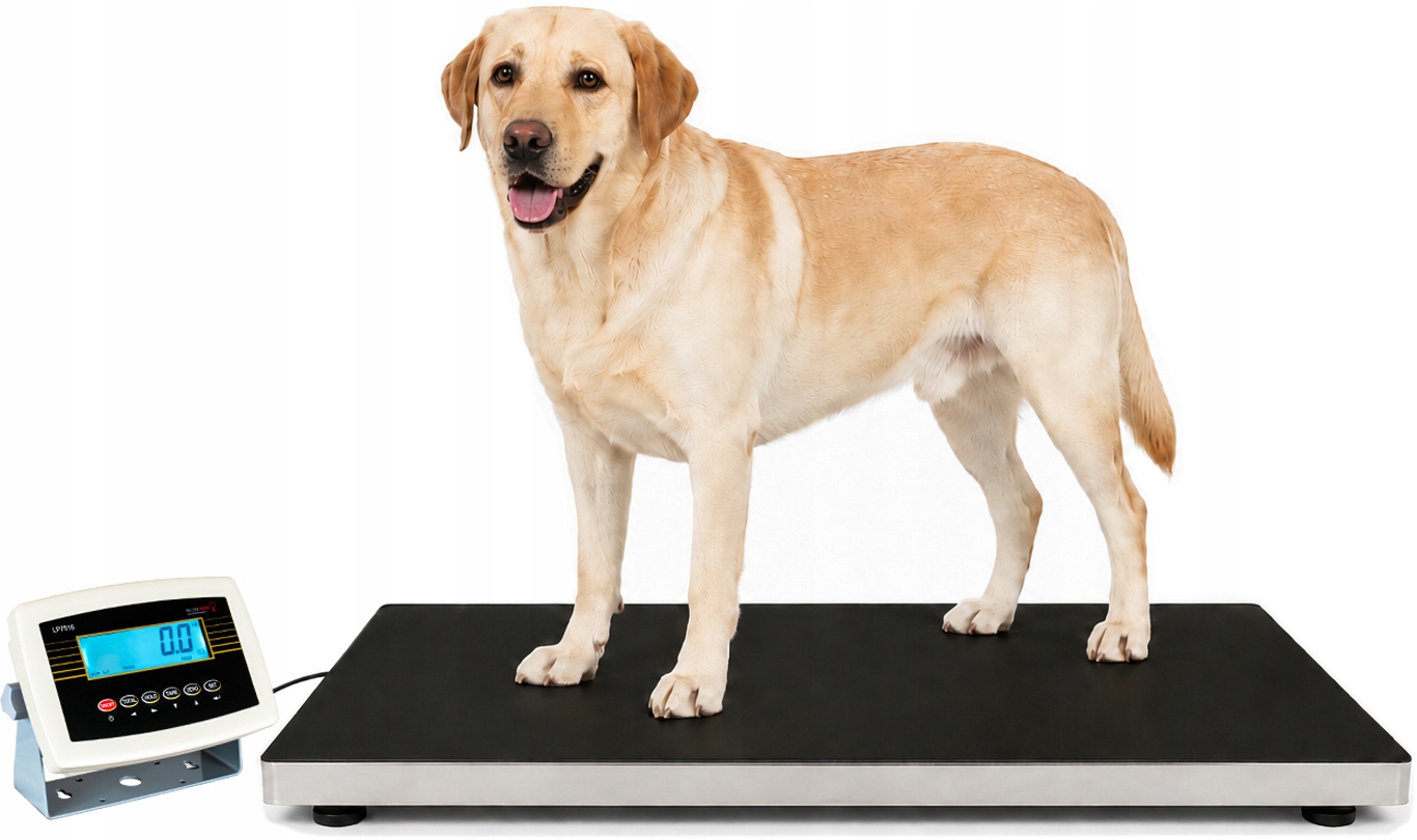 Veterinární váha 300 kg pro Kabinet zvířat Premium podložka Bielskie Wagi