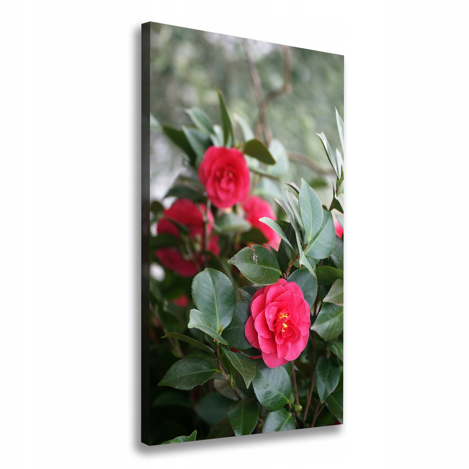 

Nowoczesny obraz canvas na ramie Kamelia 60x120 cm