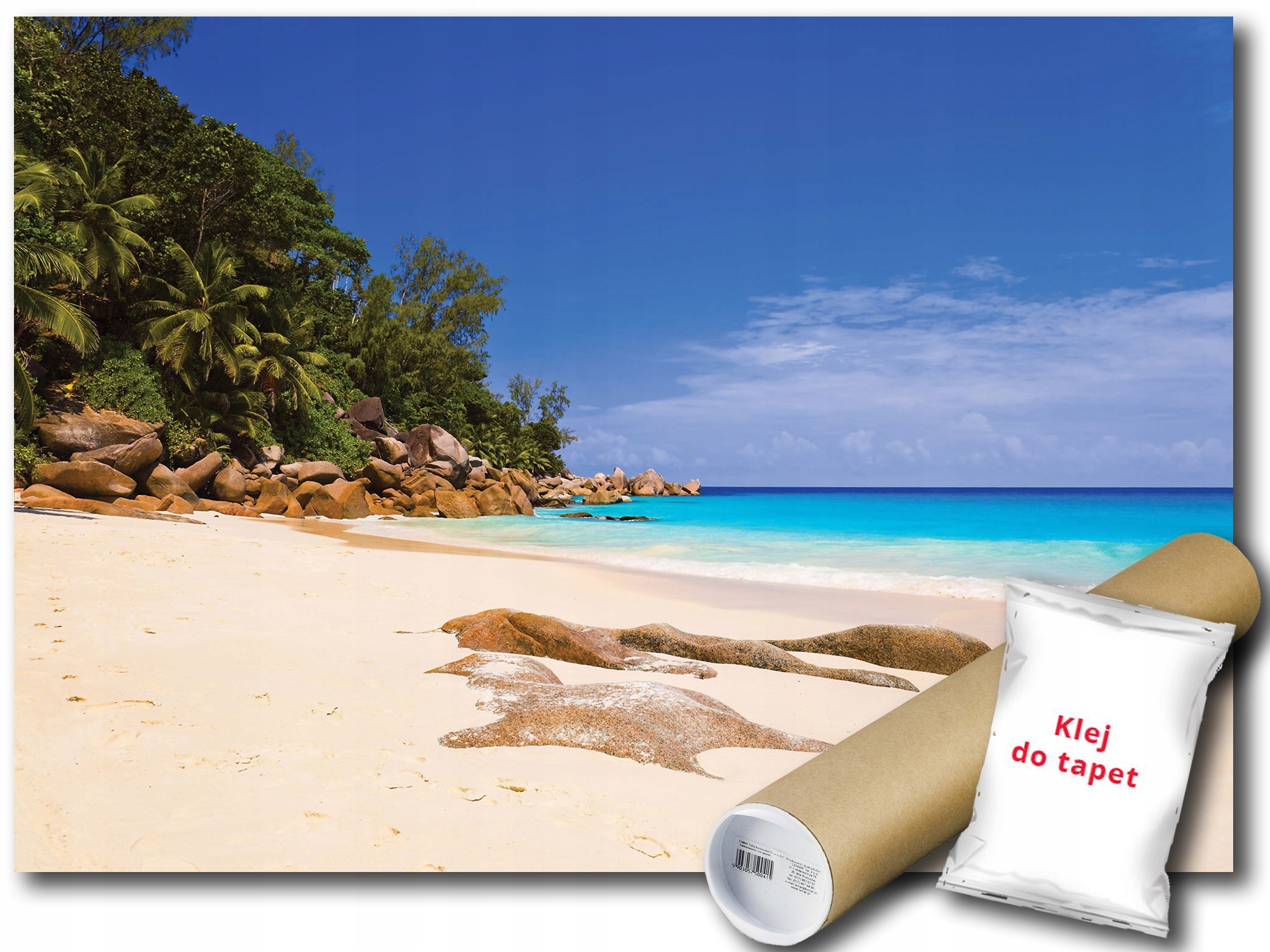 Vinylová Fototapeta Krajina Pláž More Oceán Palmy Pohľad 208x146