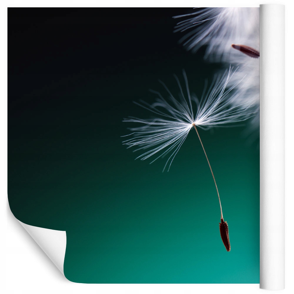 Fototapeta 3D foukače květiny do obývacího pokoje 180x270