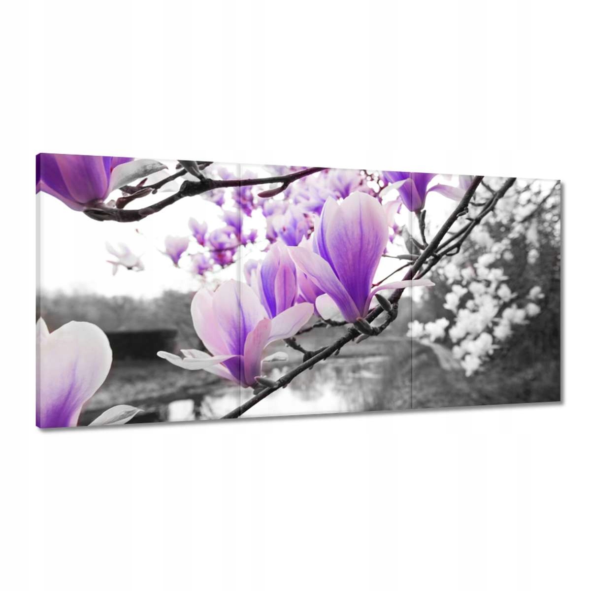 Obrazy 180x90 Magnólia Kvety