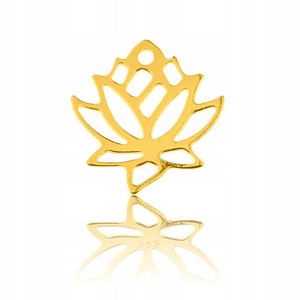 Wisiorek zawieszka CELEBRYTKA CHARMS srebro 925 24