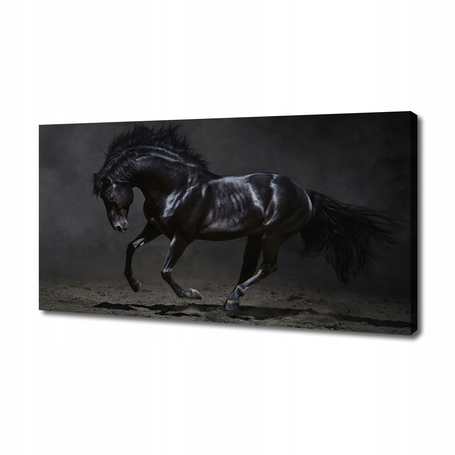 

Foto obraz canvas na ścianę Czarny koń 140x70 cm