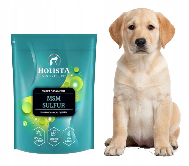 Levně Holista Msm Sulfur 500g Síra Na Klouby Pro Psa