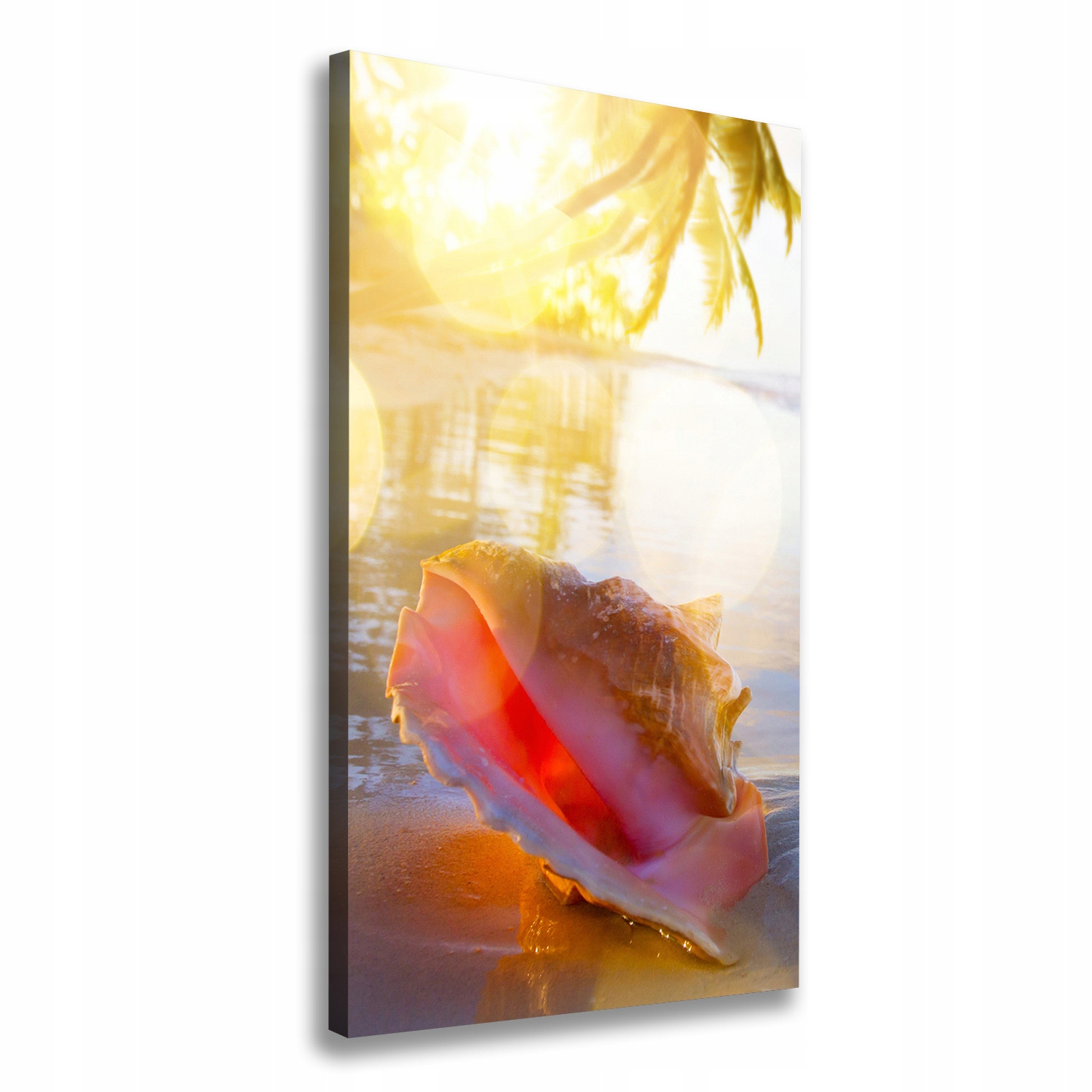 

Foto obraz na płótnie Muszla na plaży 50x100 cm
