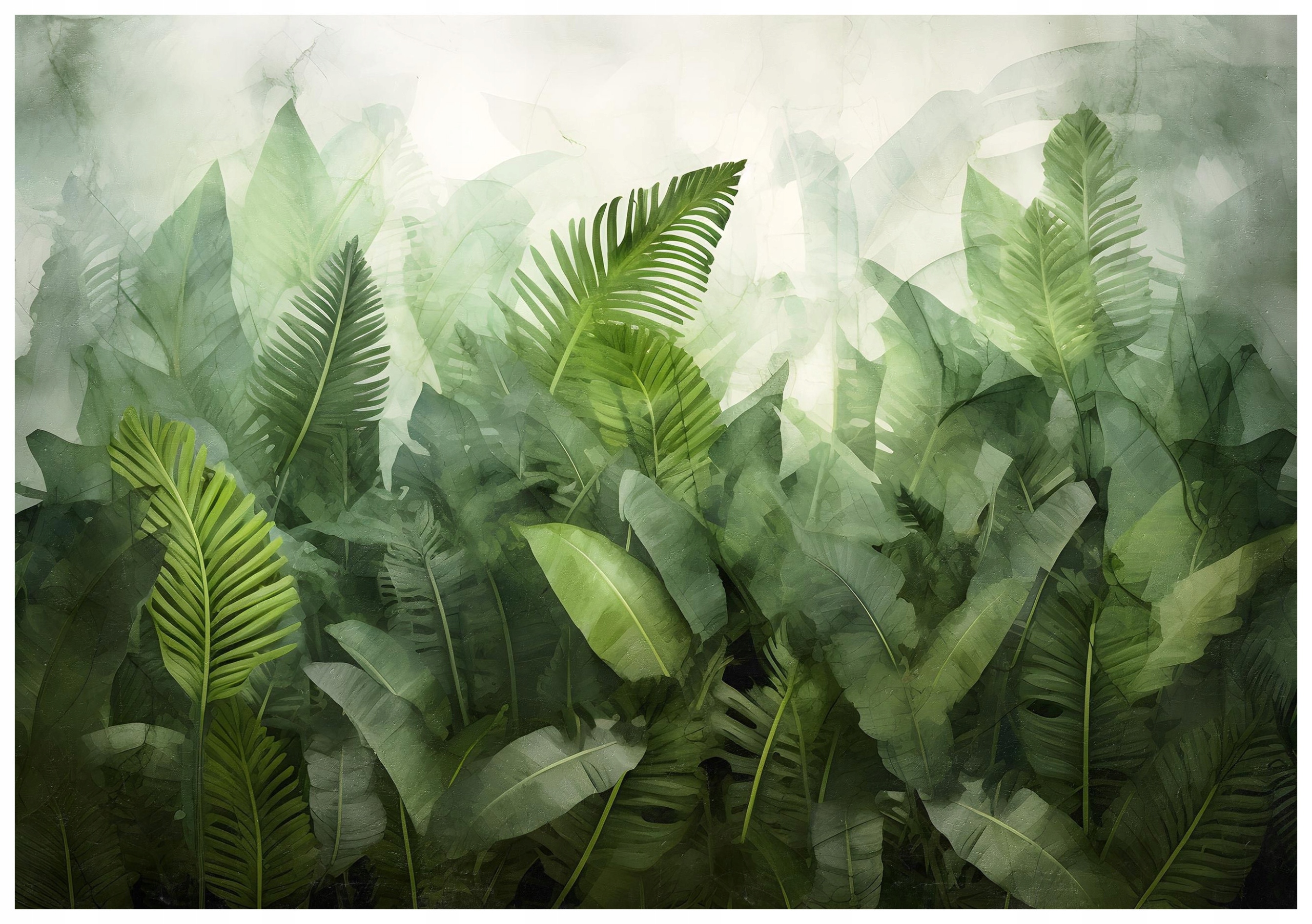 Fototapeta flizelina Zelené tropy Listy kapradí a banánů 350x250 lepidlo