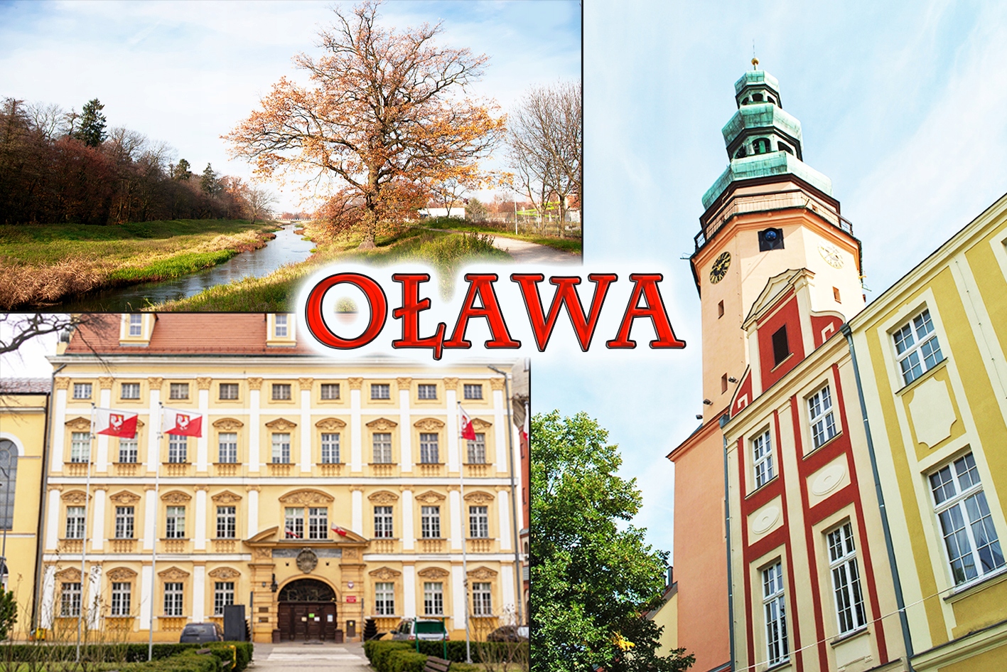 Magnes na lodówkę - OŁAWA