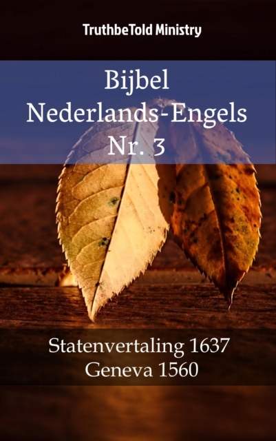 Voorstellen negatief Omgekeerd Bijbel Nederlands-Engels Nr. 3 EBOOK (9718450101) | Ebook Allegro