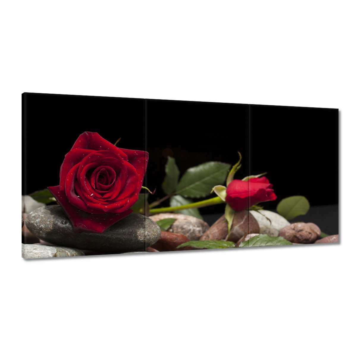 Obrazy 180x90 Spa Wellness Relax Voda