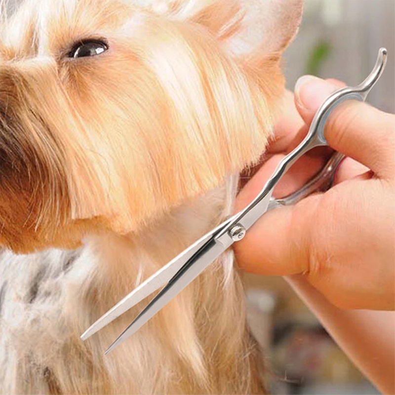 MASZYNKA DO STRZYŻENIA PSÓW PSA KOTA ZWIERZĄT ZESTAW CICHA PROFESJONALNA Moc 9 W