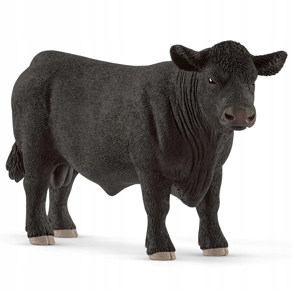 

Czarny Aberdeen Angus Schleich 13879
