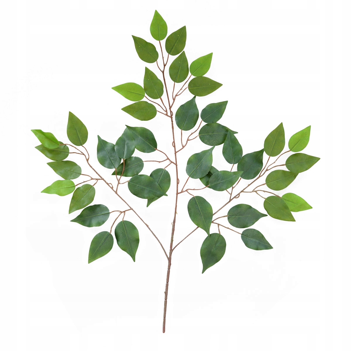 

Gałązka Benjamina Fikus Liście Tytoniu 65 x 45cm