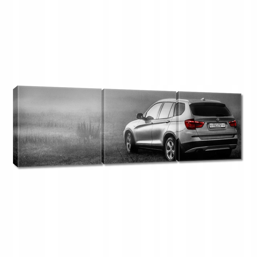 

Obrazy 60x20 Samochód Bmw X3