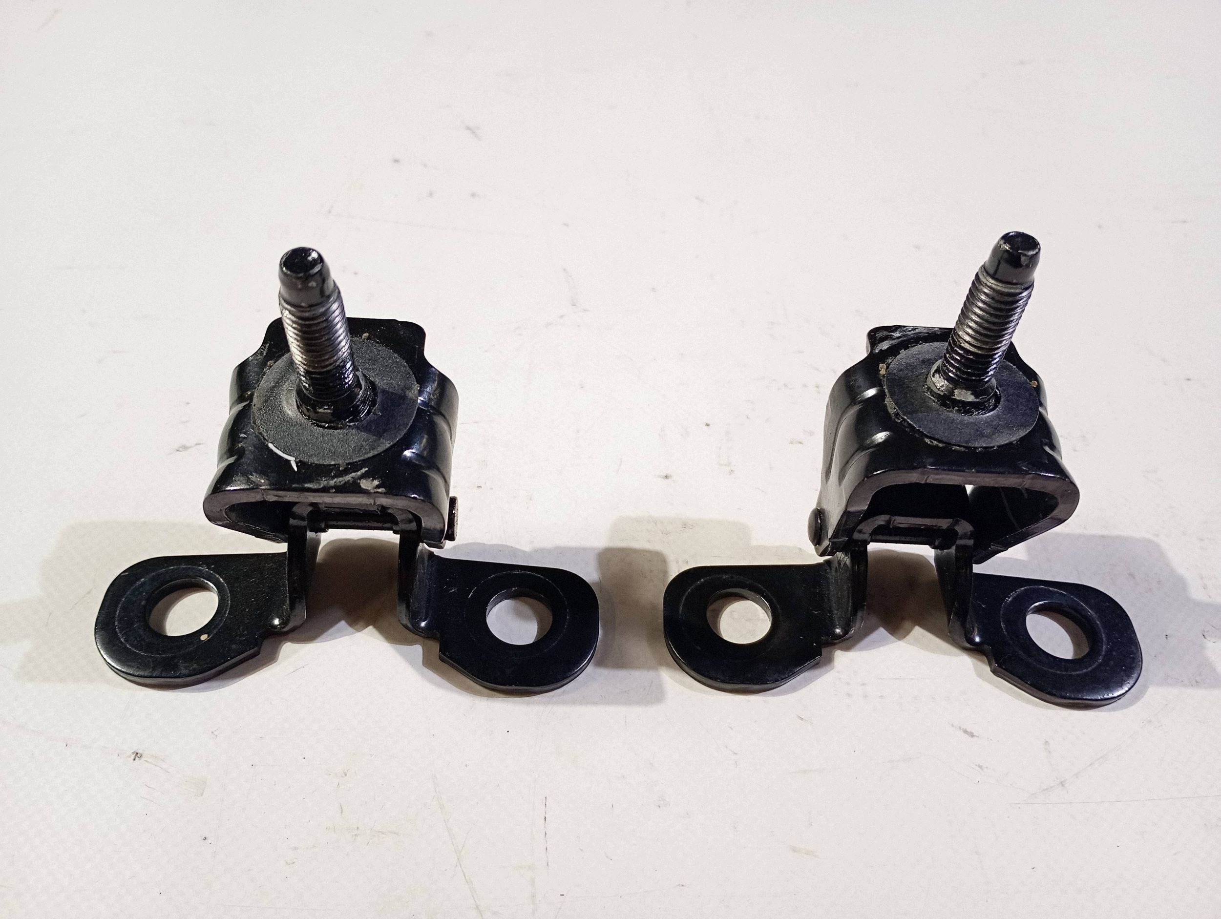 hinge hinges bonnet boot komplet Ford Mustang Mach-E 2020