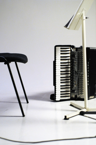 

Fototapeta flizelina na wymiar Akordeon