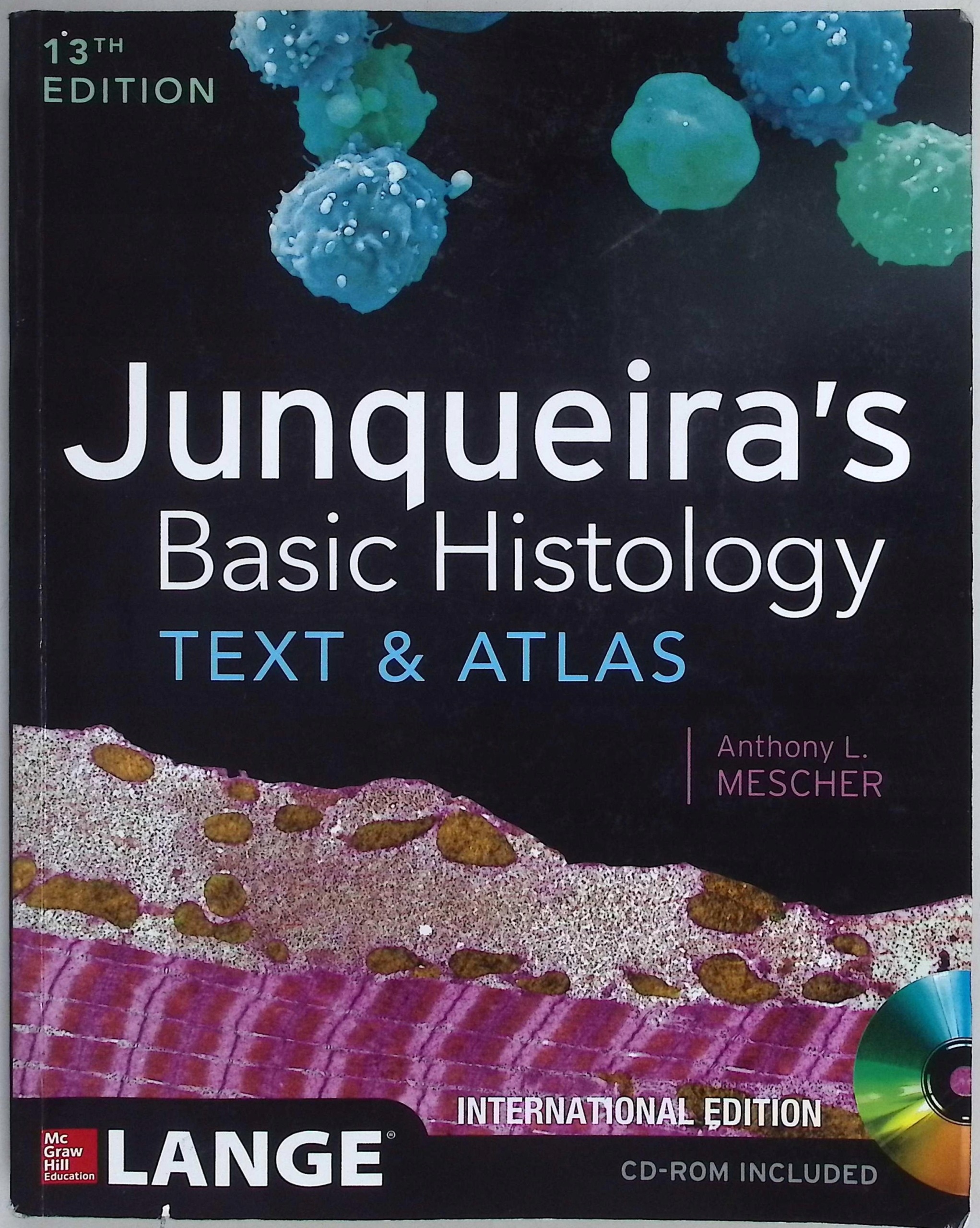 Junqueira's Basic Histology: Text and Atlas
